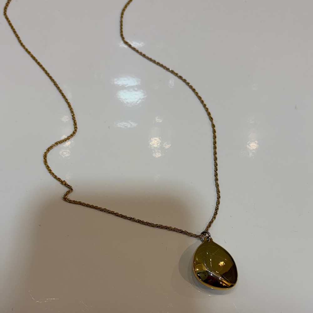 Ann Taylor Elegant Gold Pendant Necklace